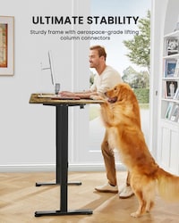 Electric Standing Desks Image 5