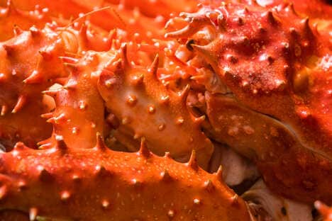 Crustacean-Based Batteries