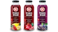 Plant-Powered Tea-Like Beverages