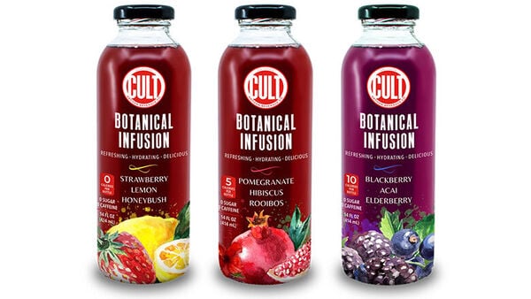 Plant-Powered Tea-Like Beverages