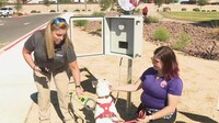 Lost Pet Microchip Stations Image 3