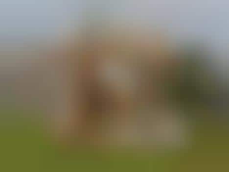 NFT-Funded Pavilions