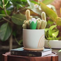 AI-Driven Plant Sensors Image 1