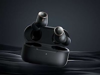 Balanced Dynamic Audio Earbuds Image 2