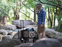 Semi-Autonomous Utility Wagons Image 3