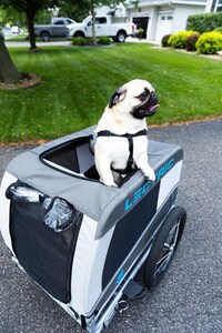 Bike-Towed Pet Trailers