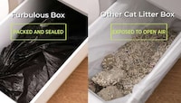 Automated Self-Sealing Litter Boxes Image 4