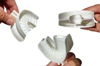 3D-Printed Whole Mouth Flossers