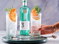 Iconic Gin Bottle Redesigns Image 2