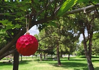 3D-Printed Reforestation Seed Balls Image 5