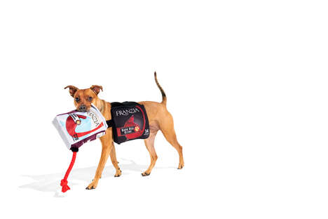 Wine-Themed Pet Costumes