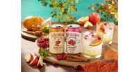 Autumnal Spiced Apple Waters Image 1