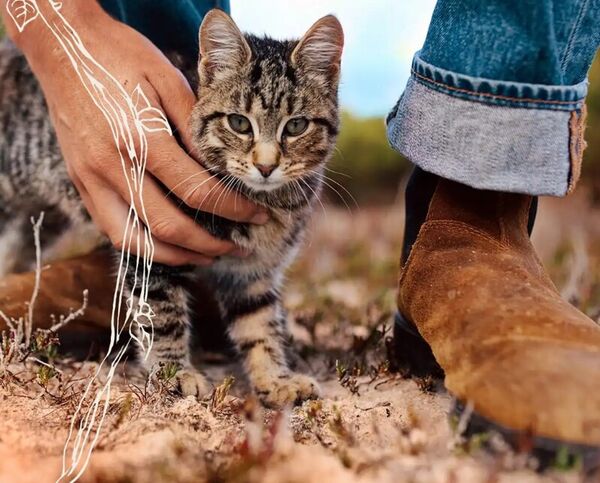 Eco-Friendly Pet Tree Burial Kits
