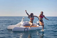 Balanced Hydrofoil Watercraft Image 6
