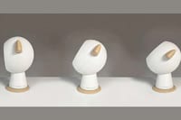 AI-Powered Companion Speakers Image 4