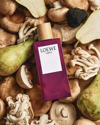 Truffle-Scented Luxe Fragrance Image 3