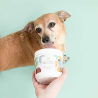 Plant-Powered Pet Supplements Image 1