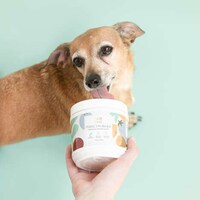Plant-Powered Pet Supplements