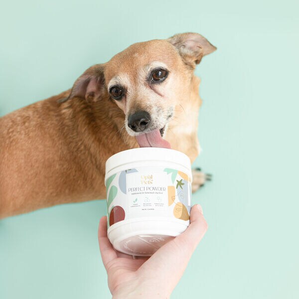 Plant-Powered Pet Supplements
