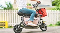 Pet Owner E-Bikes