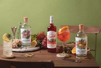 Zero-Proof Botanical Spirits Image 1