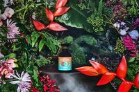 Viral Spicy-Sweeet-Savory Vinaigrettes Image 2