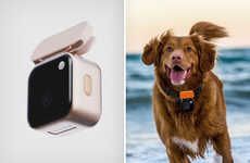Canine-Friendly Action Cameras