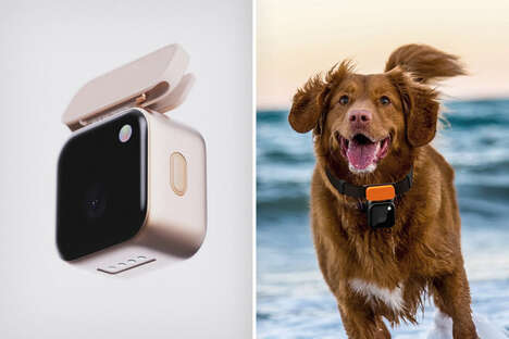 Canine-Friendly Action Cameras