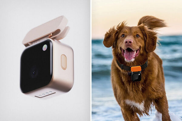 Canine-Friendly Action Cameras