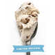 Limited Release Ice Creams Image 1