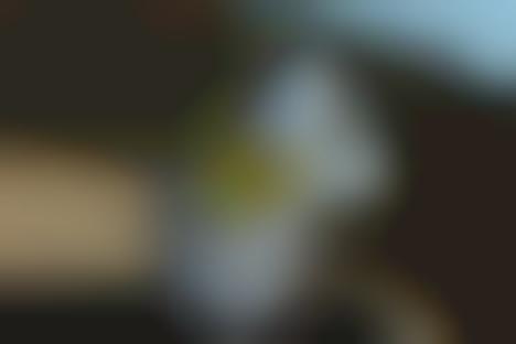 Coastal-Themed Fall Streetwear