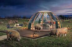 Sheep-Surrounded Sleep Domes