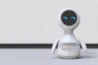 Robotic Desktop Companions Image 4
