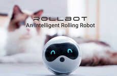 Rolling Pet Connectivity Robots