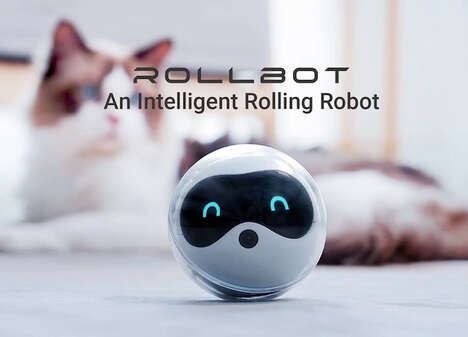 Rolling Pet Connectivity Robots