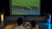 Mini Cinema-Grade Projectors Image 2