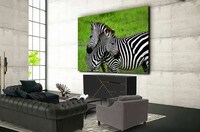 Luxury Micro LED TVs Image 2
