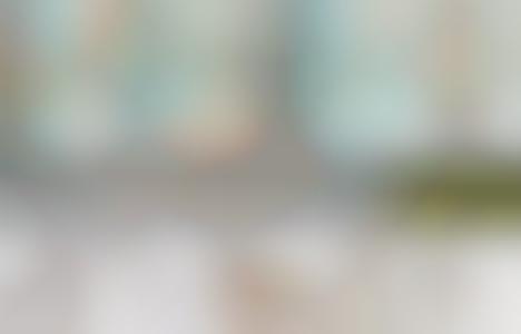 Copycat Celeb Fashion