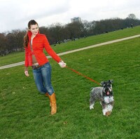 Hold my hand walking the dog Image 3