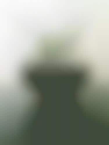 Recycled Glass Terrariums