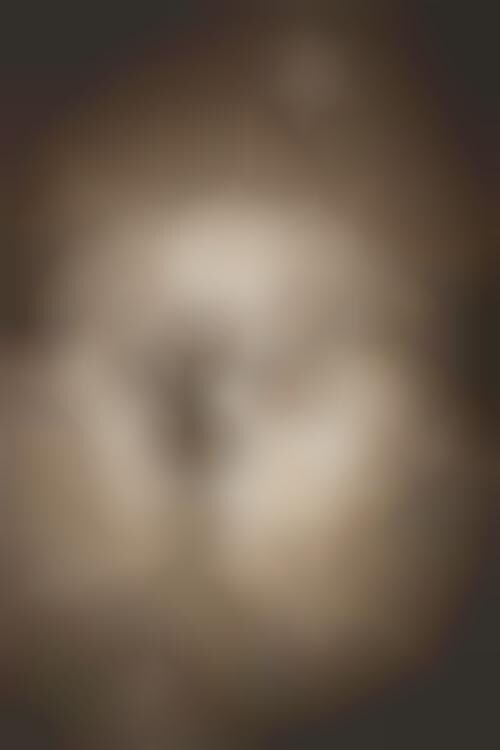 Algorithmic Lighting