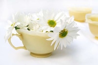 Beeswax Teacups Image 5
