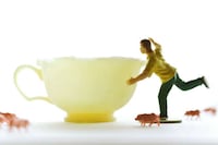 Beeswax Teacups Image 7