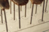 Pie Lollipops Image 2