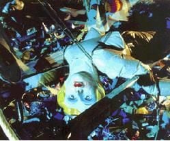 Dismembered Doll Art: Cindy Sherman's Dark Mannequin Use Explores Deep  Issues