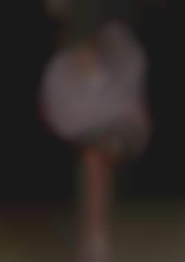 german shepherd puppy to full grown pictures