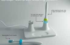 Toothbrush Sanitizing Systems