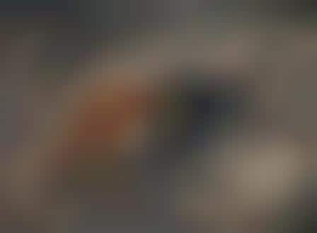 Sensual Sprawltography