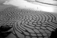 Giant Beach Canvases Image 4