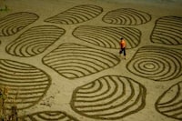 Giant Beach Canvases Image 7